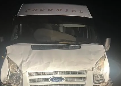 Una pareja salvó de milagro su vida tras chocar contra un animal suelto